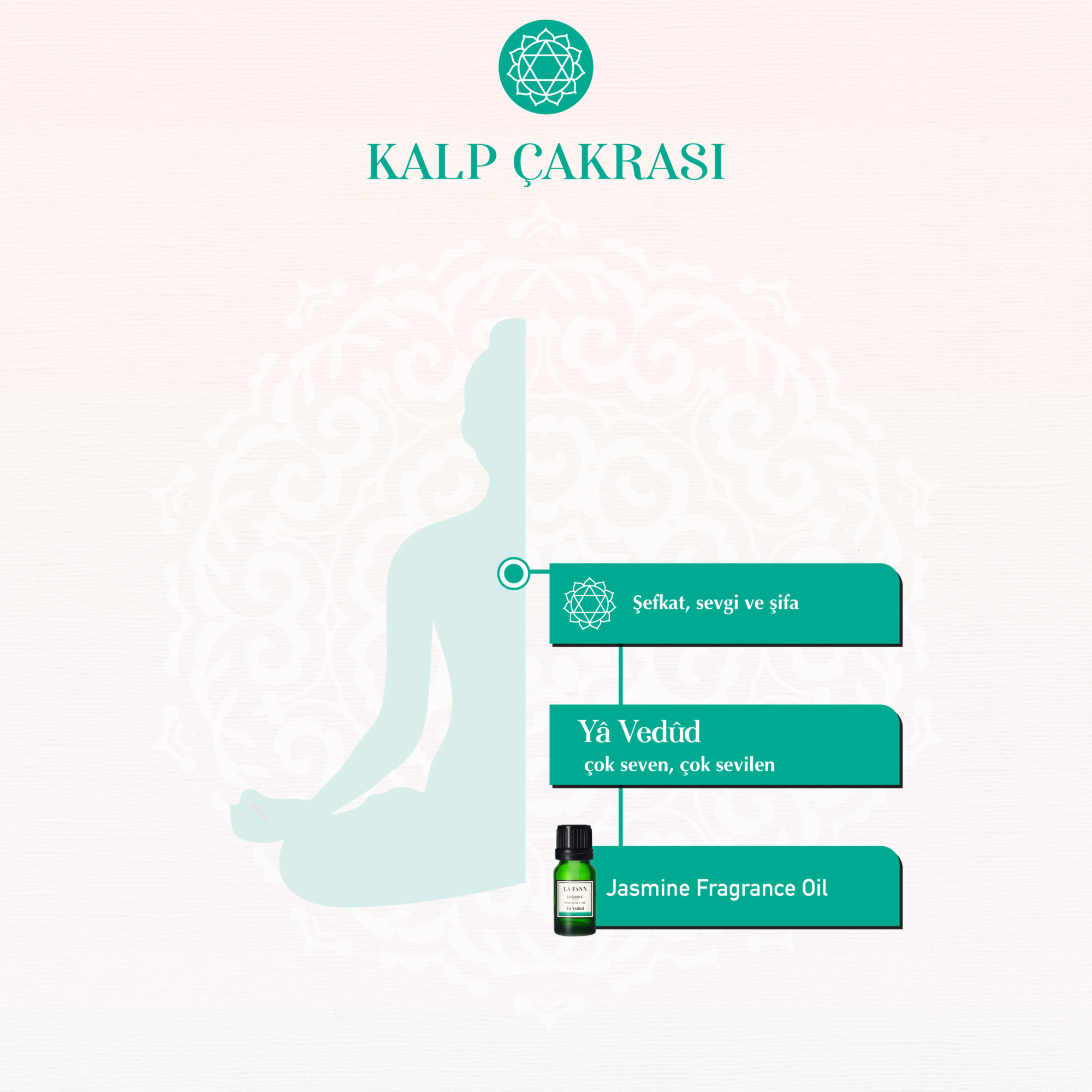CHAKRA yasemin
