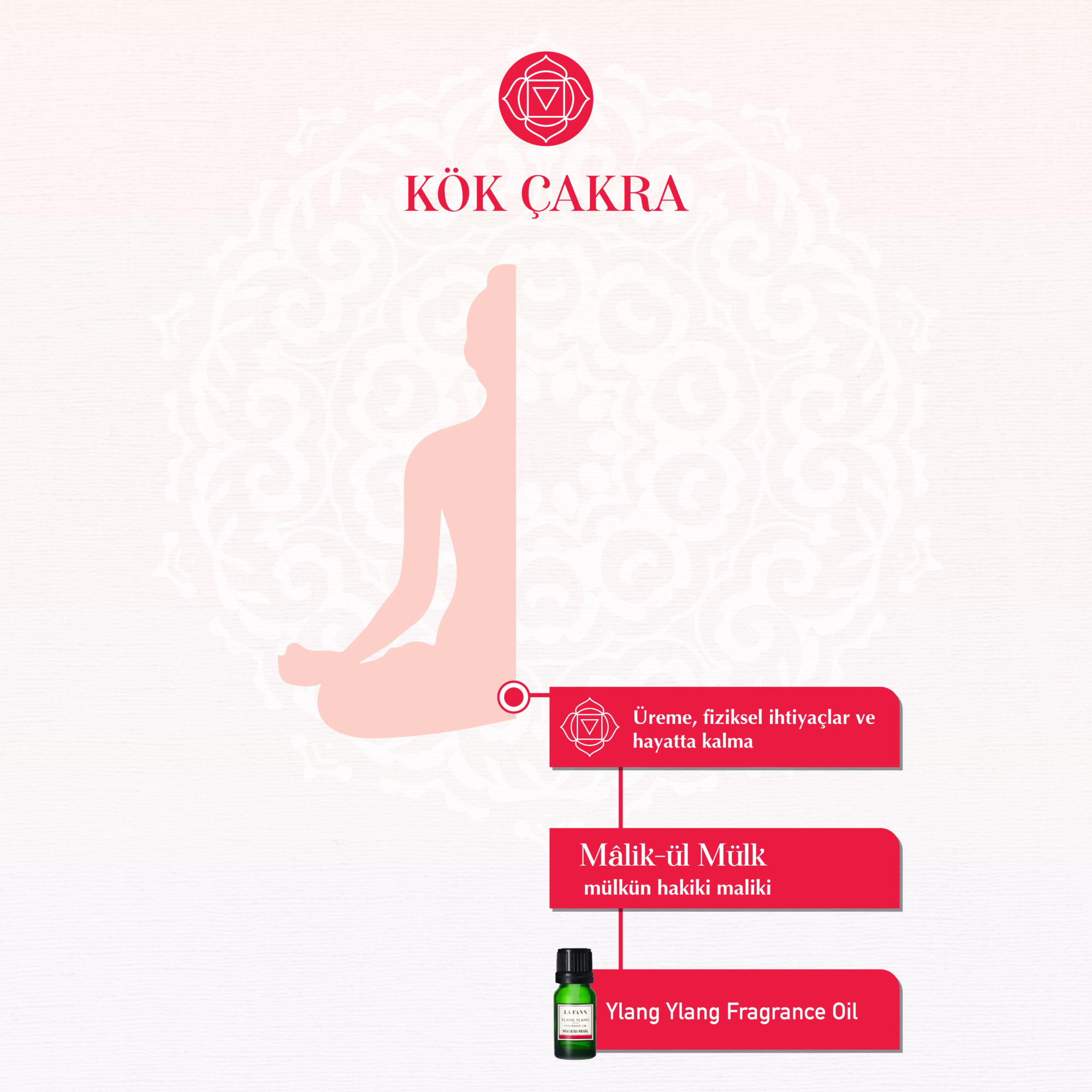 CHAKRA ylang ylang