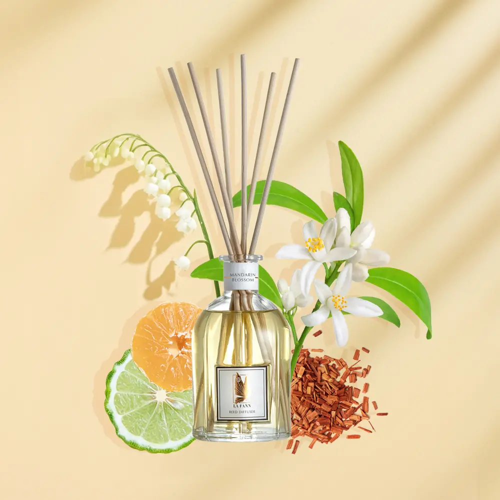 MANDARINE REED 2 copy